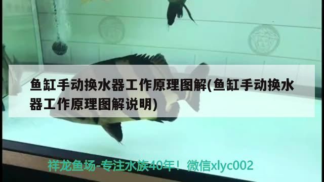 魚缸過濾器選購指南:自制魚缸過濾器魚缸上置過濾器對于養魚愛好者的必備知識 魚缸手動換水器工作原理圖解(魚缸手動換水器工作原理圖解說明) 觀賞魚百科 魚缸手動換水器工作原理圖解(魚缸手動換水器工作原理圖解說明) 魚缸手動換水器工作原理圖解(魚缸手動換水器工作原理圖解說明) 觀賞魚百科