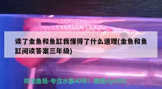 讀了金魚和魚缸我懂得了什么道理(金魚和魚缸閱讀答案三年級)