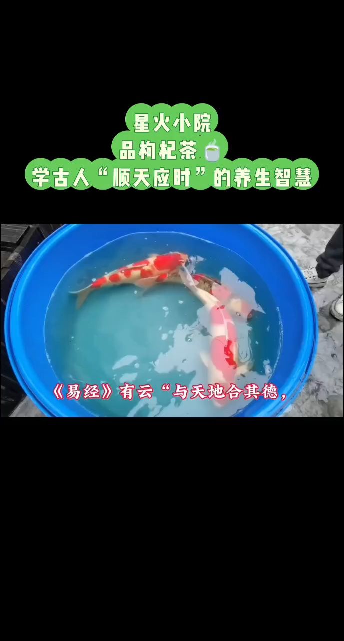 打造生態循環??有文化底蘊的小院 打造生態循環??有文化底蘊的小院 龍魚論壇