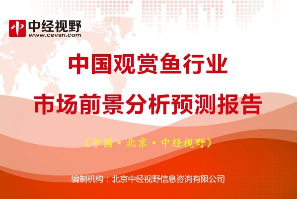 金龍魚b級(jí)和a級(jí)的區(qū)別：金龍魚b級(jí)和a級(jí)在外觀上有怎樣的區(qū)別？是否會(huì)影響購買時(shí)的判斷？