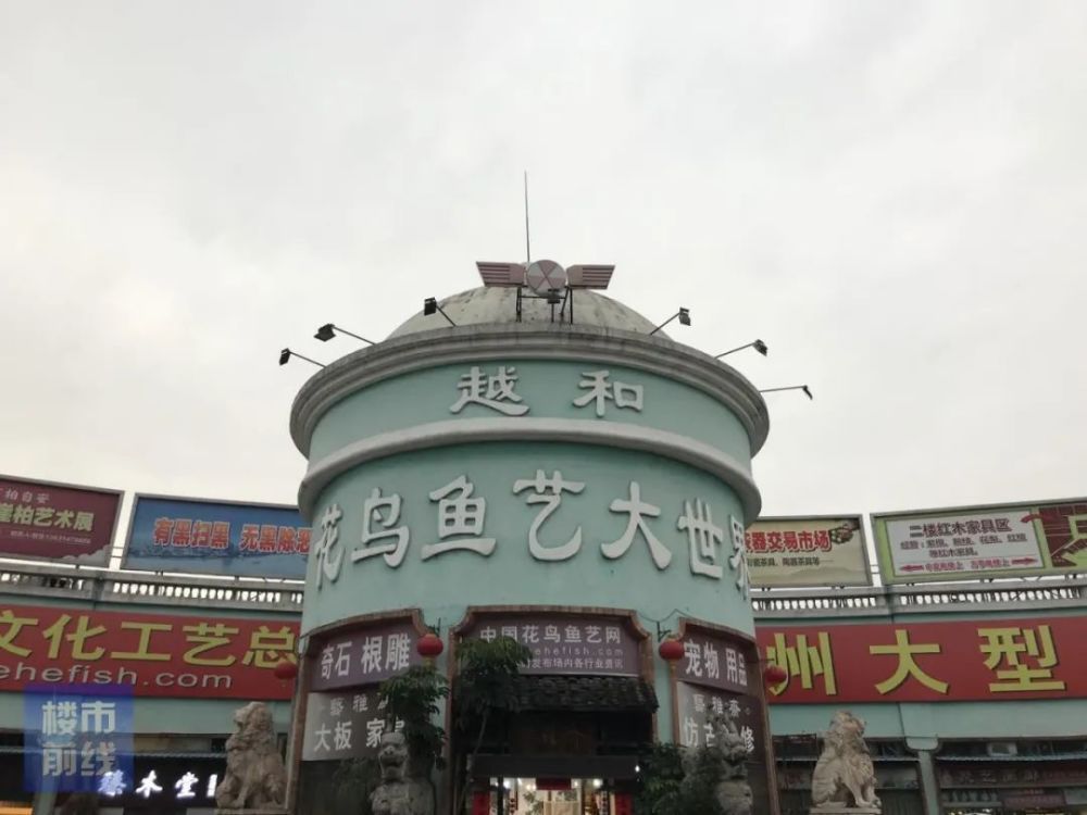 廣州最大水族批發市場在哪兒：廣州最大水族批發市場 廣州最大水族批發市場在哪兒：廣州最大水族批發市場 觀賞魚百科 第2張