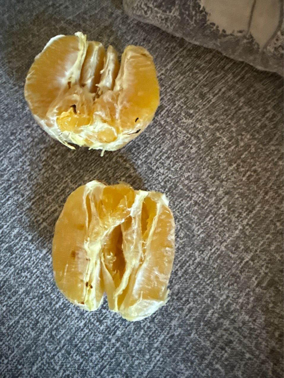 丑橘子