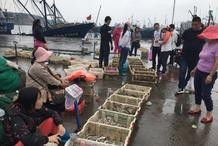 旅順龍王塘魚市 旅順龍王塘魚市 觀賞魚百科 第5張
