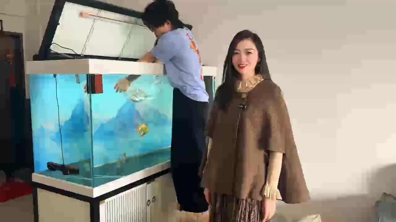 打卡：佛山南海
上門服務～升級置換??
#萬隆天王紅龍 #紅龍 #龍魚 #養魚日記 #觀賞魚
