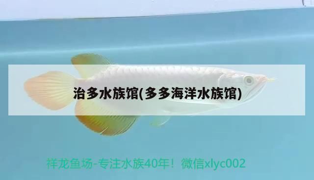 <strong><mark>治多</mark></strong>水族館(多多海洋水族館)