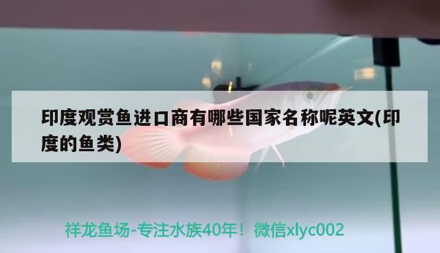 溫州水族館在羅漢魚圈打孔標志 觀賞魚百科 第2張 溫州水族館在羅漢魚圈打孔標志 溫州水族館在羅漢魚圈打孔標志 觀賞魚百科 第2張