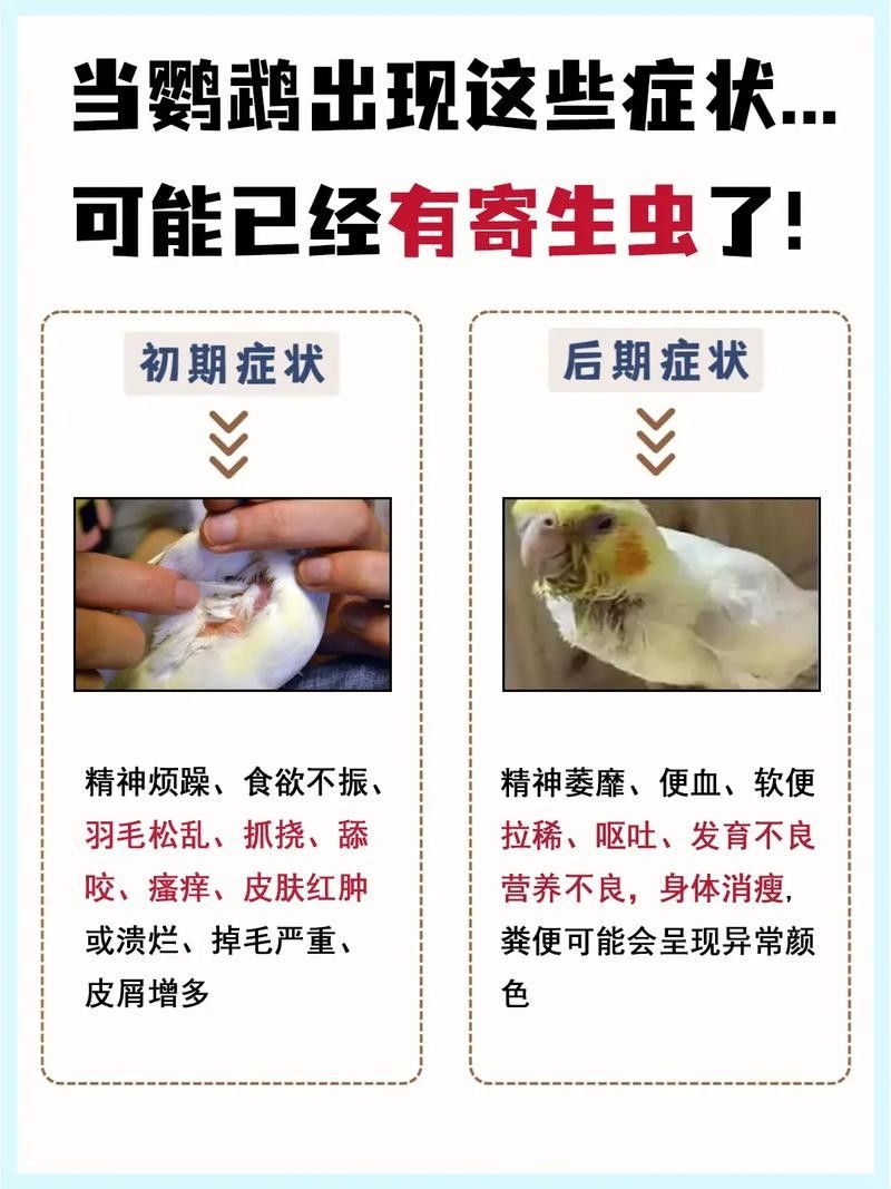 虎魚病癥狀圖片