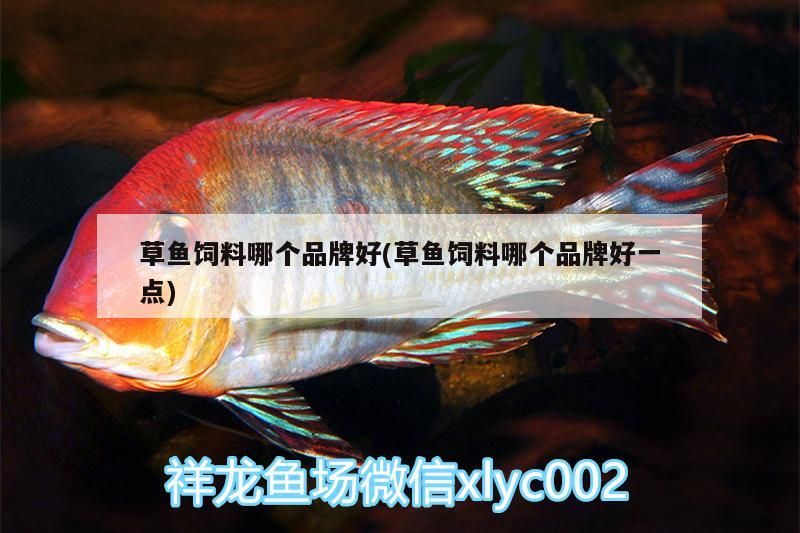 草魚飼料哪個品牌好(草魚飼料哪個品牌好一點) 草魚飼料哪個品牌好(草魚飼料哪個品牌好一點) 觀賞魚百科