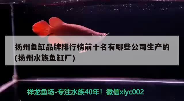 揚州魚缸品牌排行榜前十名有哪些公司生產(chǎn)的(揚州水族魚缸廠) 揚州魚缸品牌排行榜前十名有哪些公司生產(chǎn)的(揚州水族魚缸廠) 觀賞魚百科