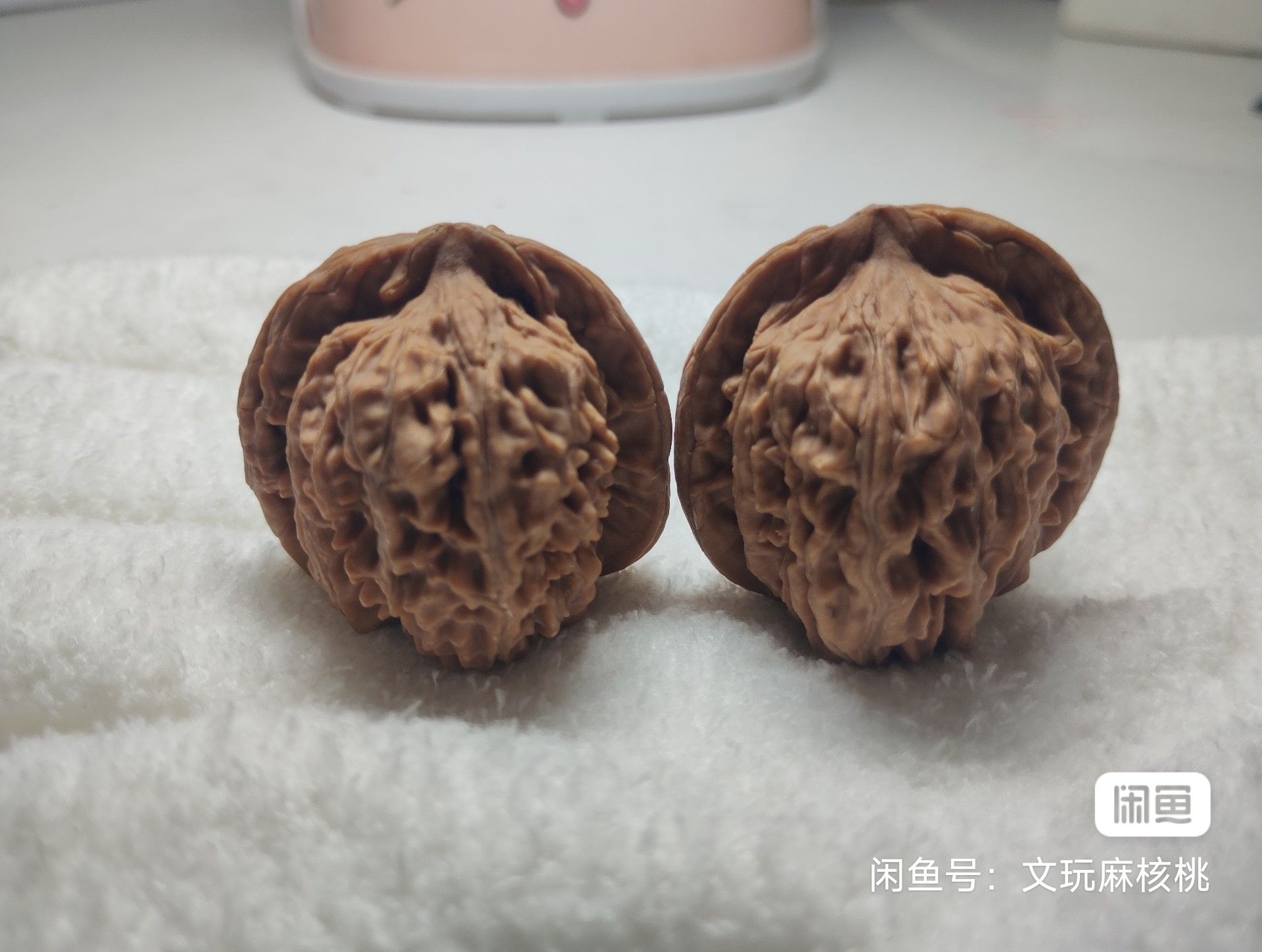 專屬福利價,手慢無 龍魚論壇 第1張 專屬福利價,手慢無 專屬福利價,手慢無 龍魚論壇 第1張