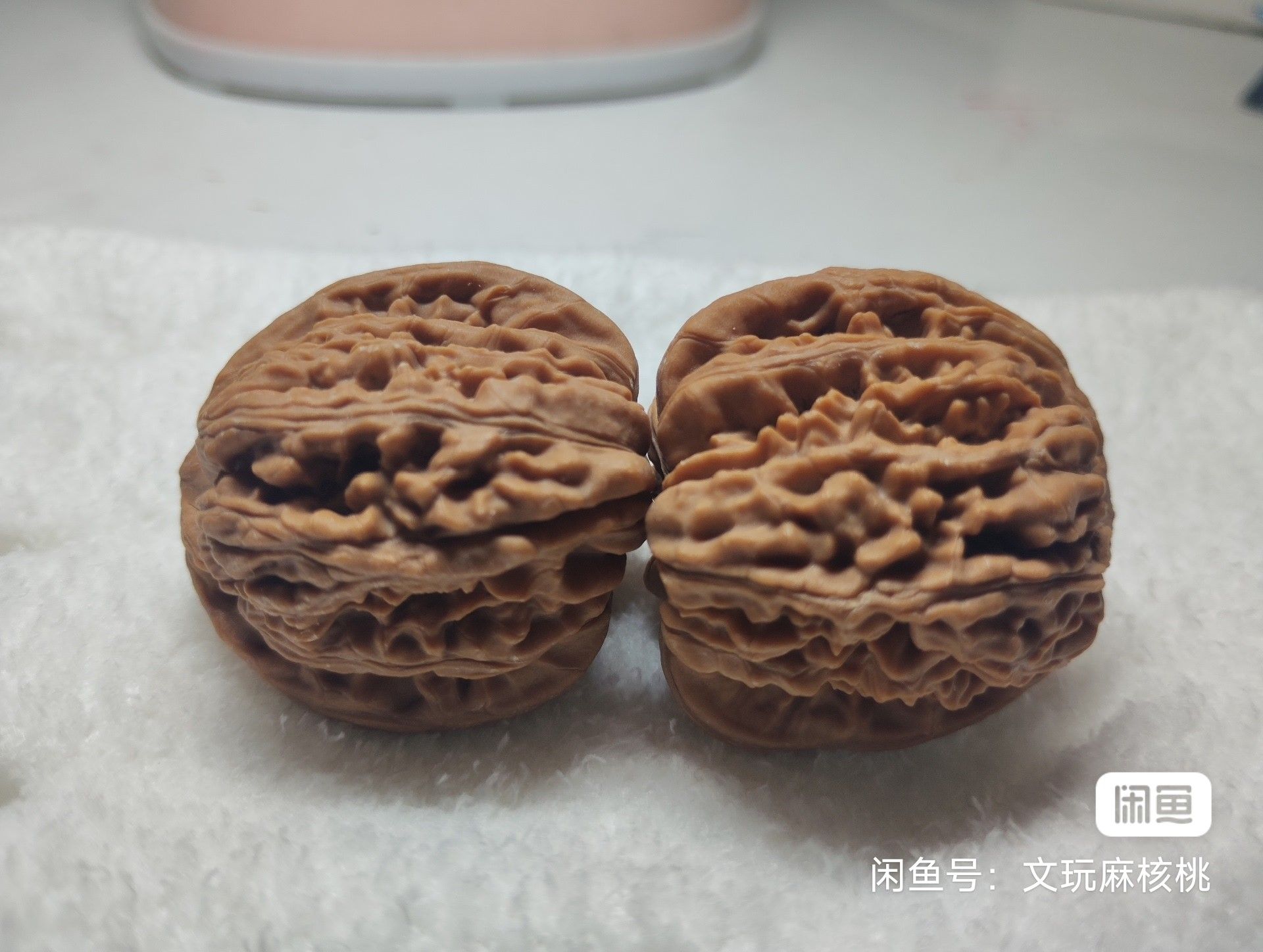 專屬福利價,手慢無 龍魚論壇 第2張 專屬福利價,手慢無 專屬福利價,手慢無 龍魚論壇 第2張