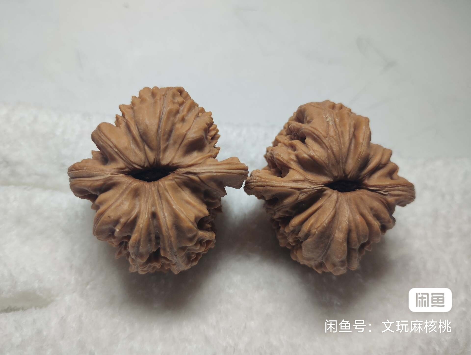 專屬福利價,手慢無 龍魚論壇 第3張 專屬福利價,手慢無 專屬福利價,手慢無 龍魚論壇 第3張