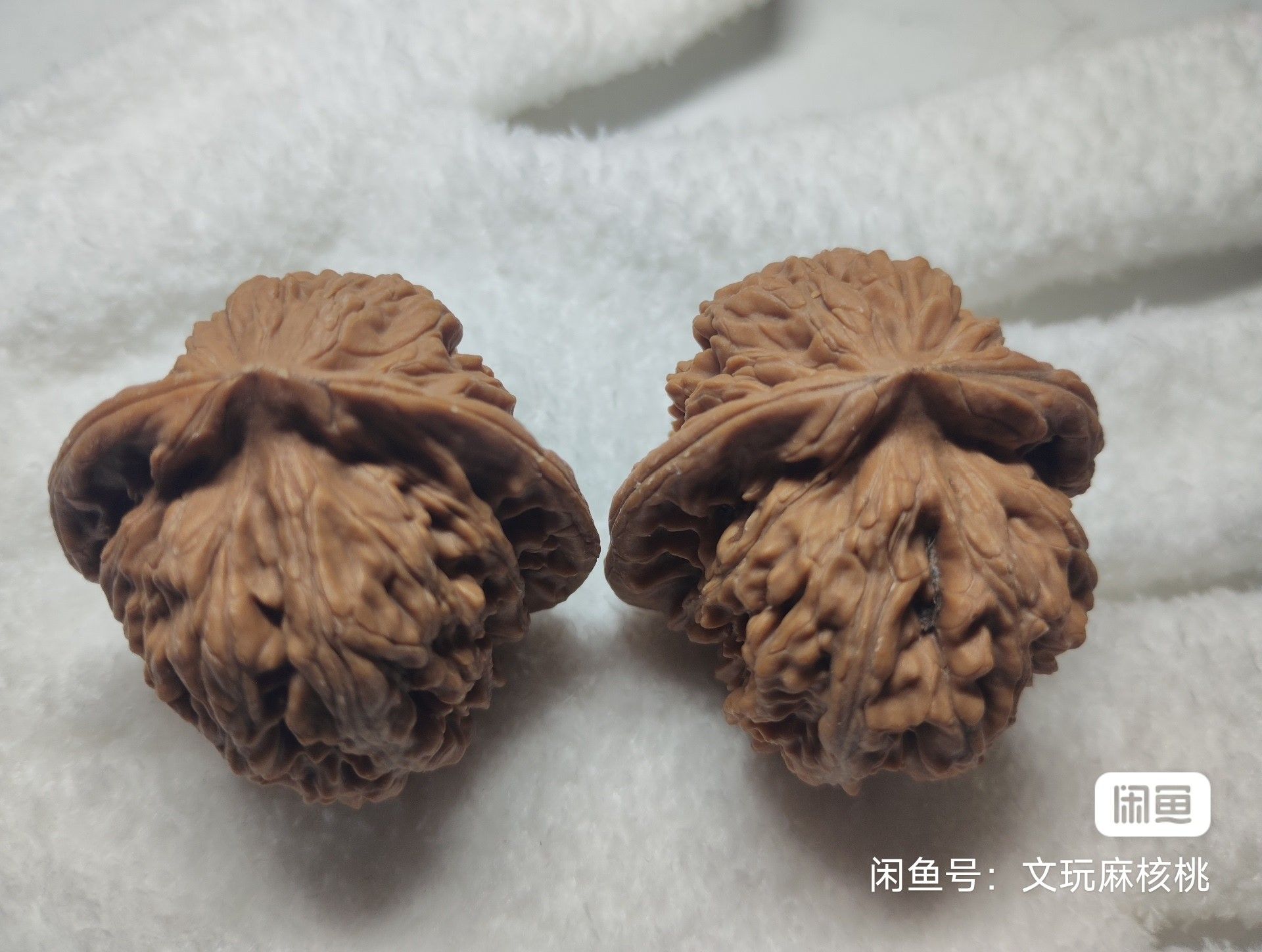 專屬福利價,手慢無 龍魚論壇 第4張 專屬福利價,手慢無 專屬福利價,手慢無 龍魚論壇 第4張