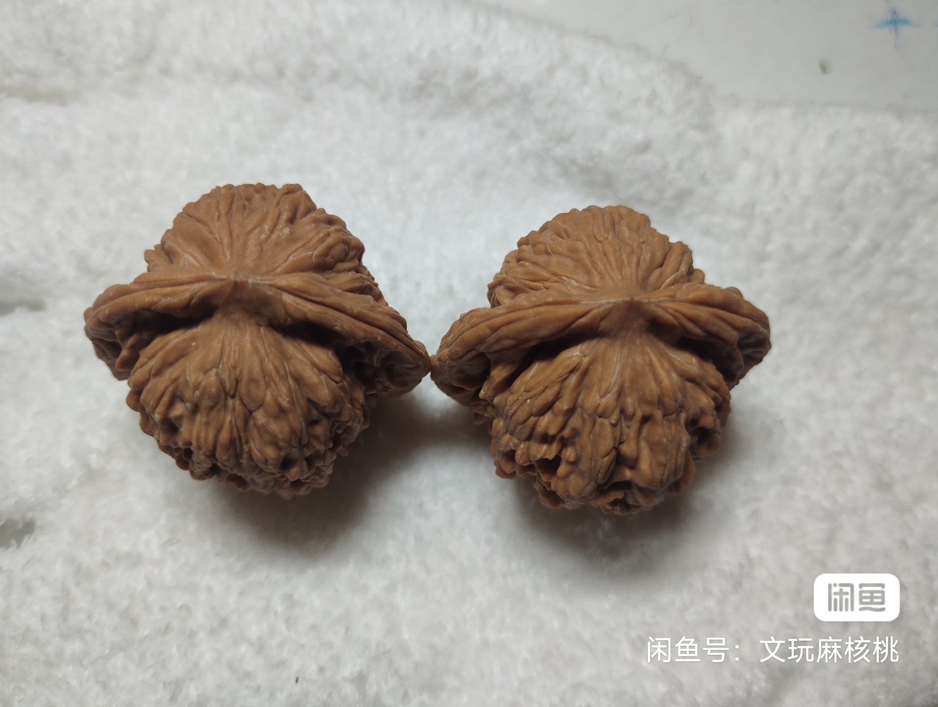 全品四座樓 龍魚論壇 第2張 全品四座樓 全品四座樓 龍魚論壇 第2張