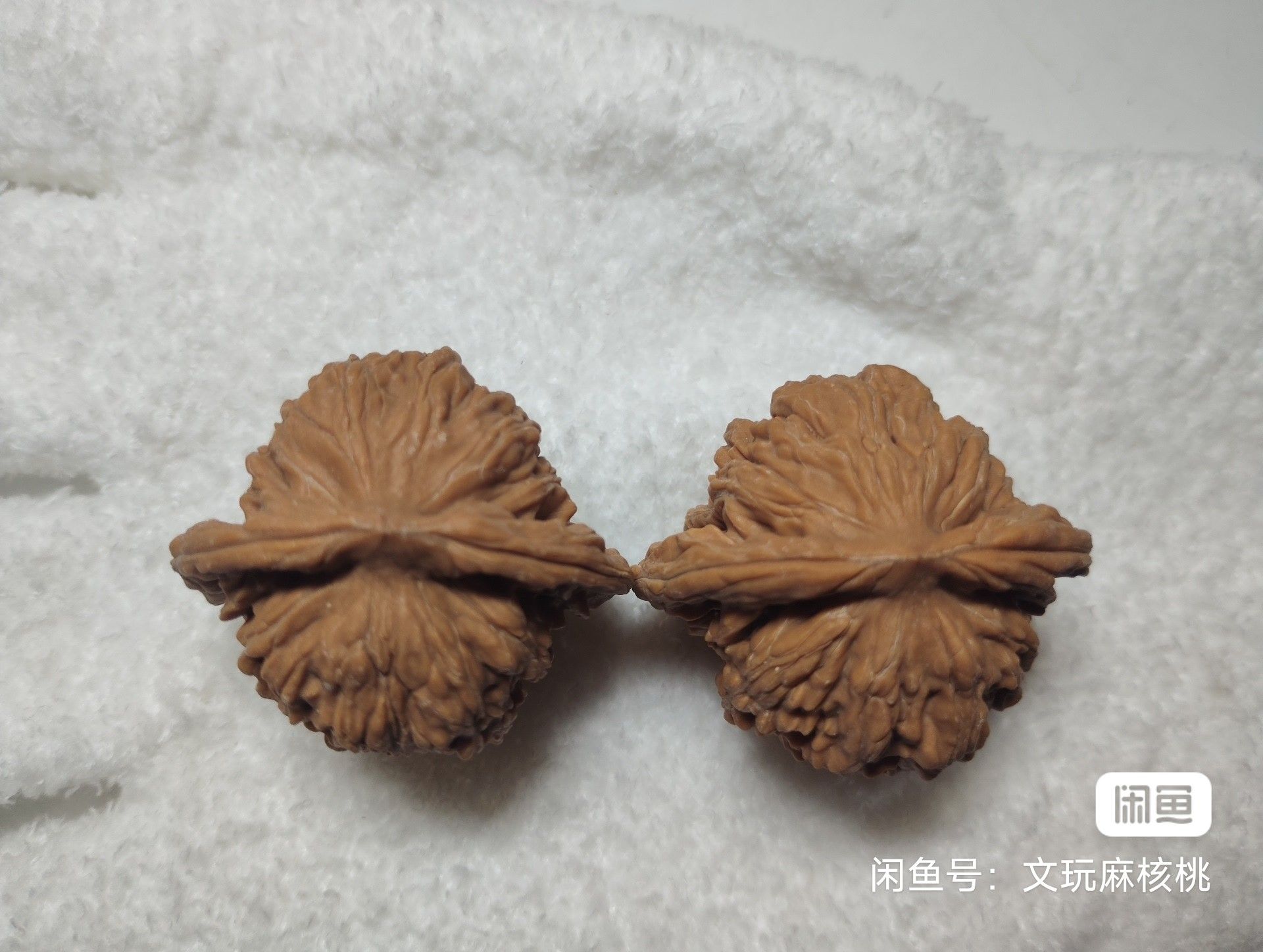 全品四座樓 龍魚論壇 第3張 全品四座樓 全品四座樓 龍魚論壇 第3張