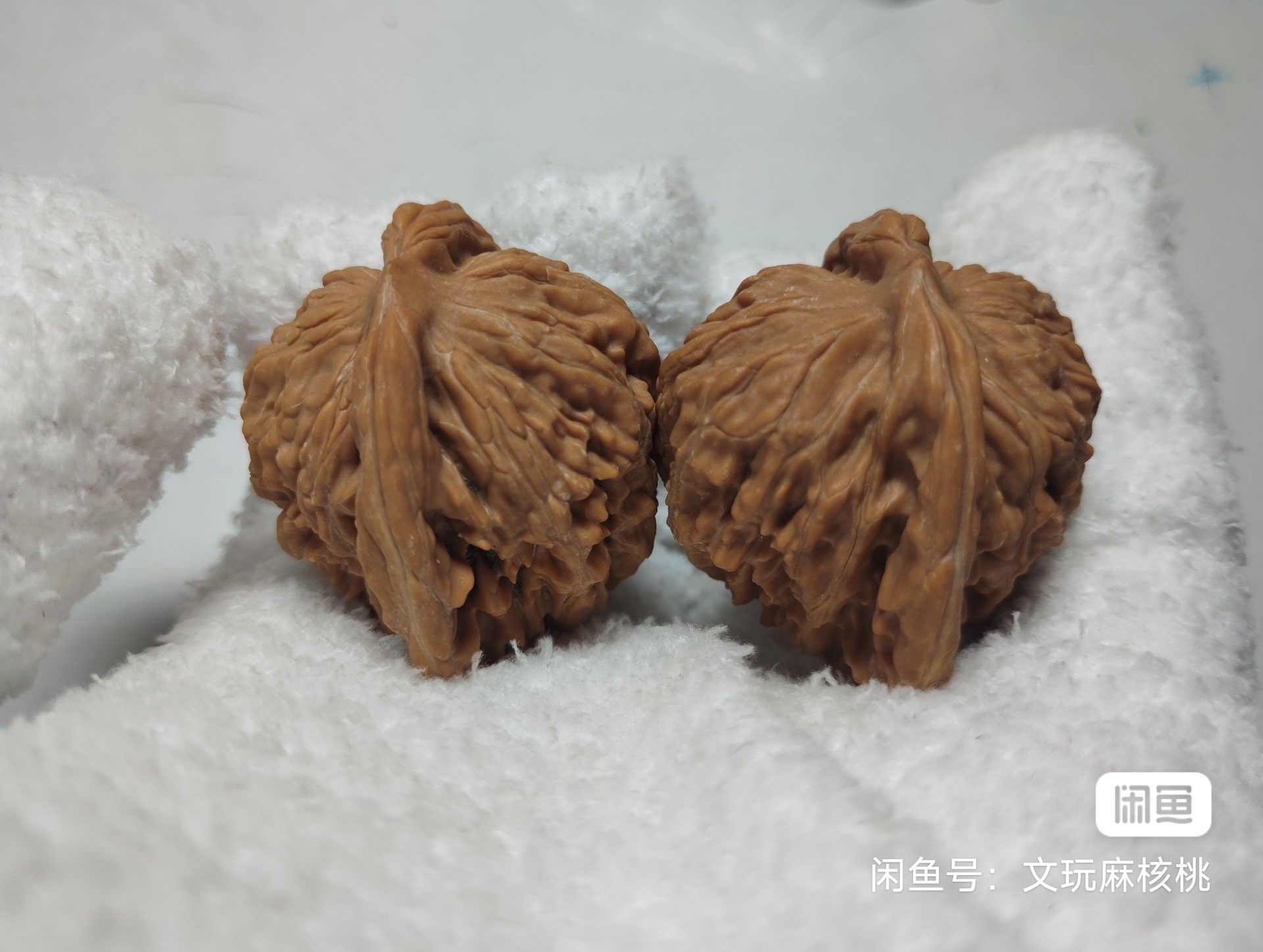 全品四座樓 龍魚論壇 第4張 全品四座樓 全品四座樓 龍魚論壇 第4張