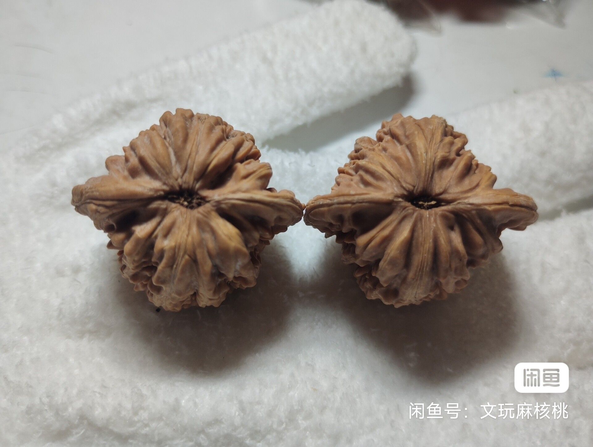 全品四座樓 龍魚論壇 第5張 全品四座樓 全品四座樓 龍魚論壇 第5張