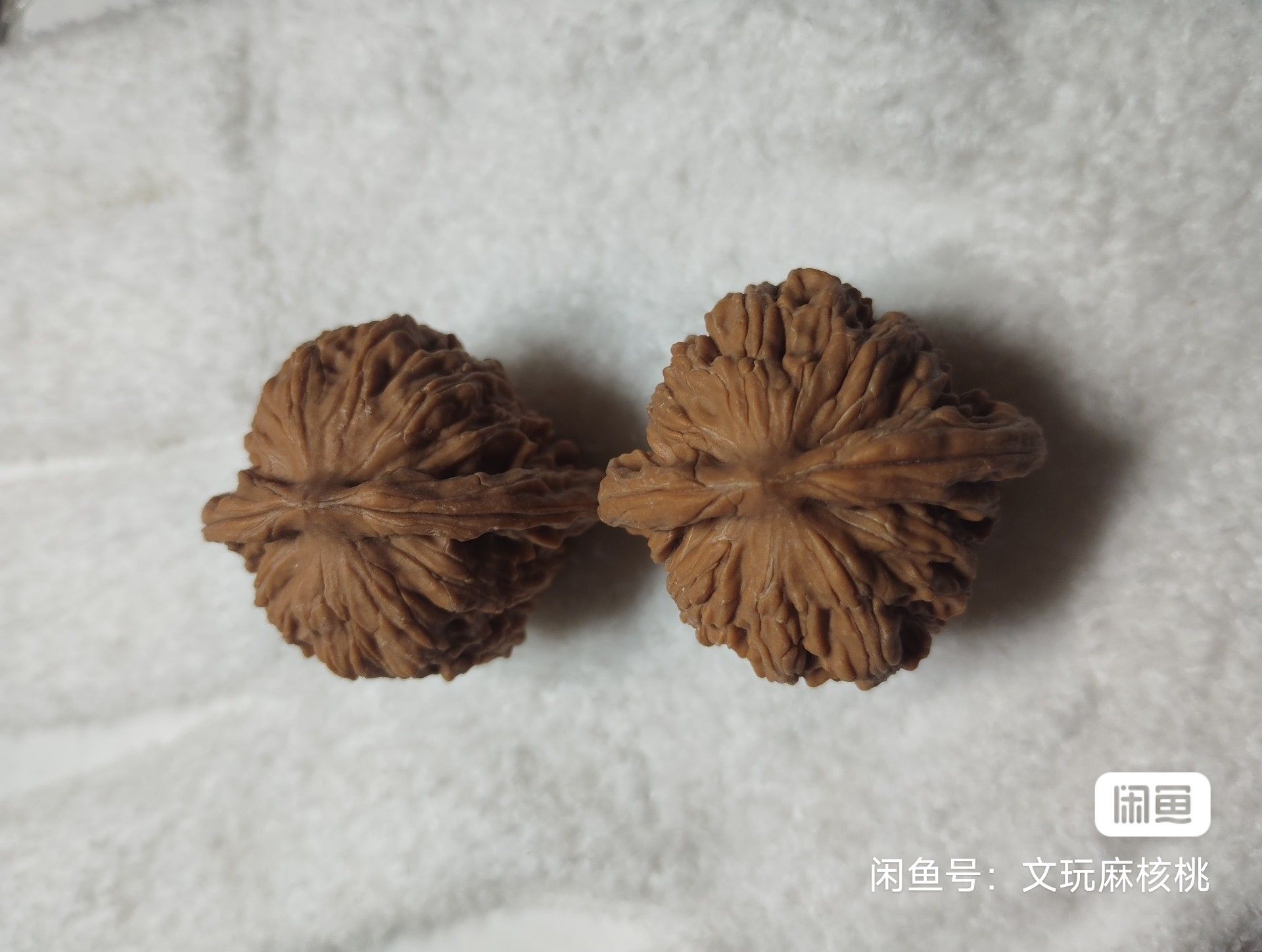 全品四座樓 龍魚論壇 第7張 全品四座樓 全品四座樓 龍魚論壇 第7張