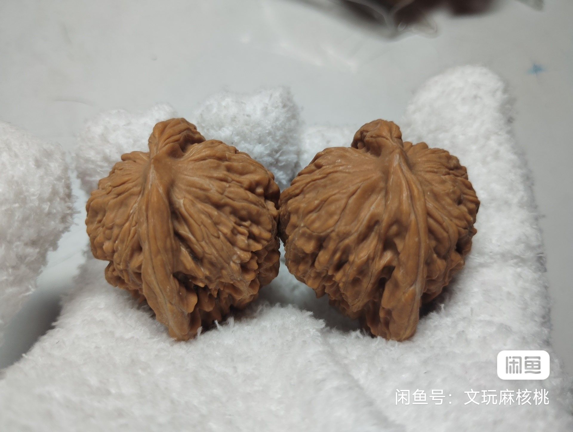 全品四座樓 龍魚論壇 第8張 全品四座樓 全品四座樓 龍魚論壇 第8張