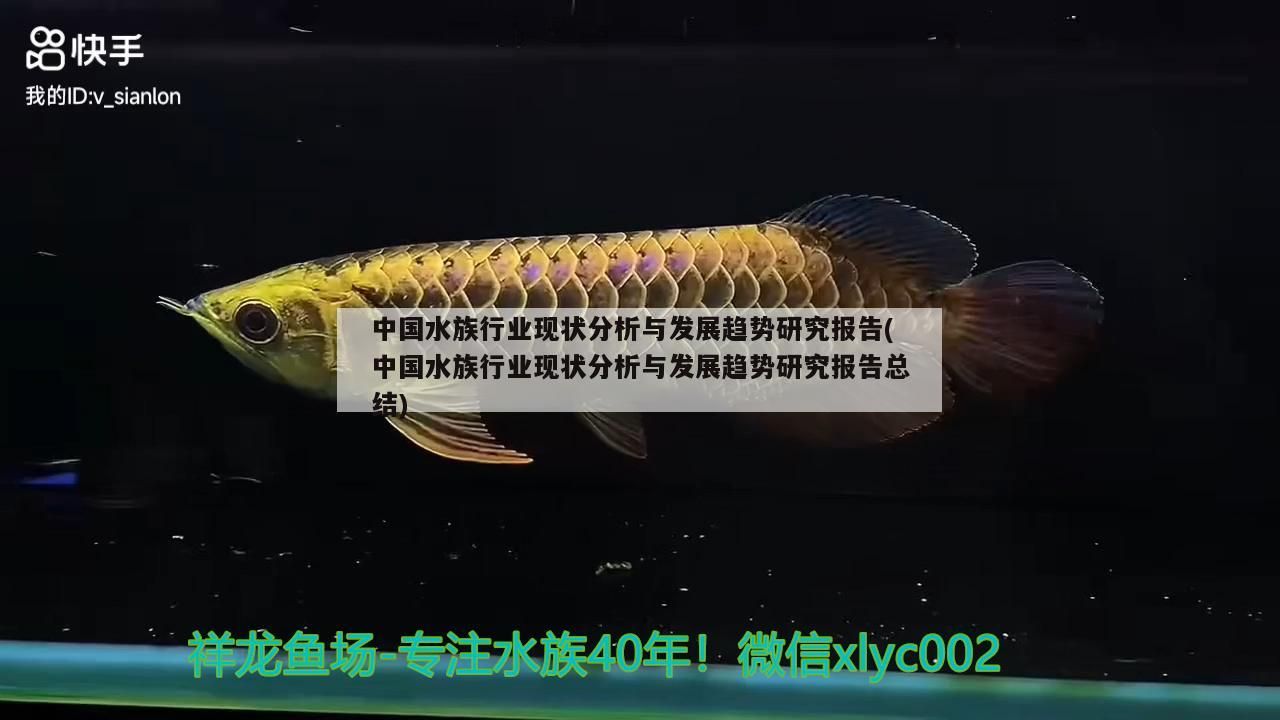 魚缸用增氧泵價格是多少:魚缸增氧機-xtrac增氧機-xtrac增氧機 中國水族行業現狀分析與發展趨勢研究報告(中國水族行業現狀分析與發展趨勢研究報告總結) 觀賞魚百科 中國水族行業現狀分析與發展趨勢研究報告(中國水族行業現狀分析與發展趨勢研究報告總結) 中國水族行業現狀分析與發展趨勢研究報告(中國水族行業現狀分析與發展趨勢研究報告總結) 觀賞魚百科
