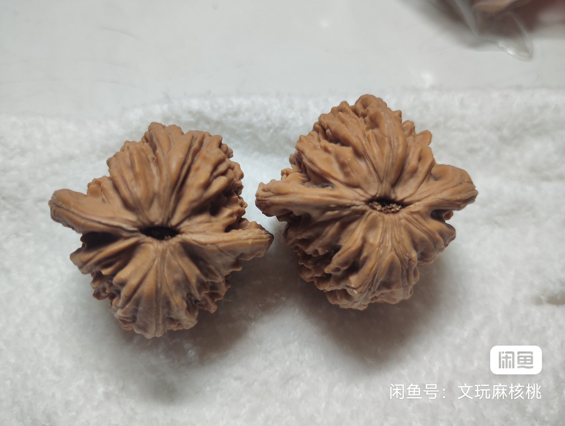 福利，手慢無