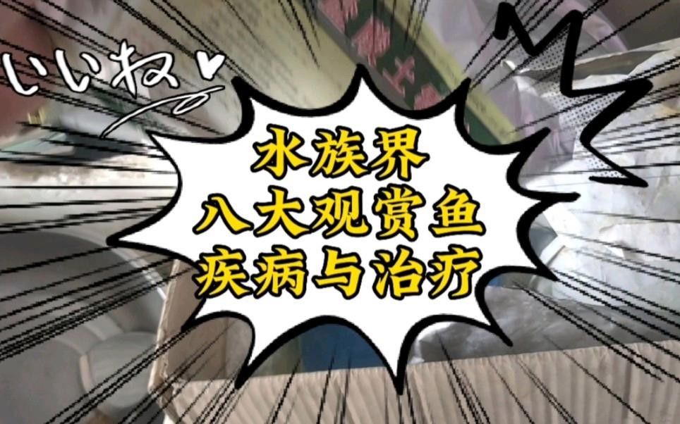 水族疾病大全名單 水族疾病大全名單 觀賞魚百科 第2張