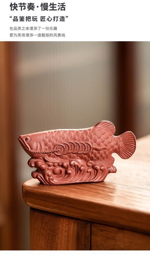館陶金龍魚是不是雜牌子 館陶金龍魚是不是雜牌子 觀賞魚百科 第1張