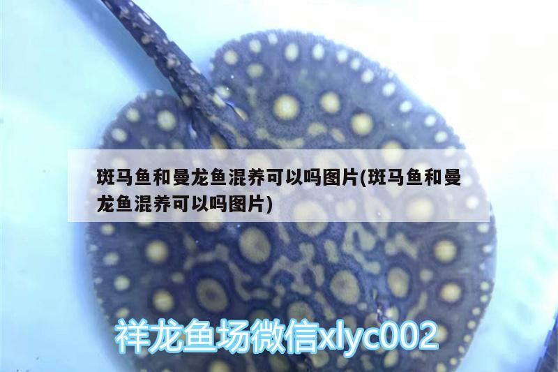 包含渭南魚(yú)缸訂制電話號(hào)碼查詢的詞條