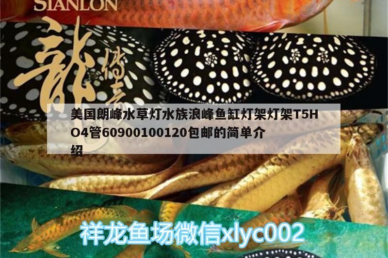 美國朗峰水草燈水族浪峰魚缸燈架燈架T5HO4管60900100120包郵的簡單介紹 美國朗峰水草燈水族浪峰魚缸燈架燈架T5HO4管60900100120包郵的簡單介紹 觀賞魚百科