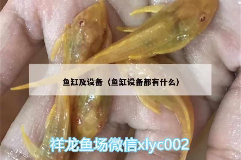 魚缸及設(shè)備（魚缸設(shè)備都有什么）