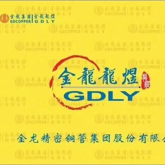 寧夏金龍集團最新情況 寧夏金龍集團最新情況 觀賞魚百科 第1張
