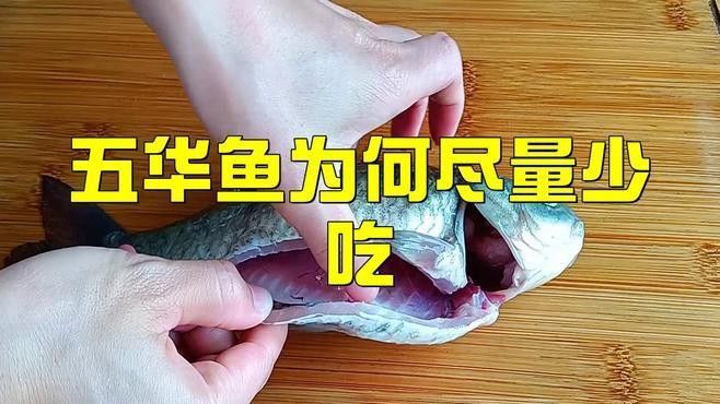 五華龍魚盡量少吃的原因 五華龍魚盡量少吃的原因 觀賞魚百科 第1張