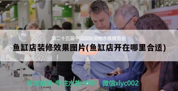魚缸店裝修效果圖片(魚缸店開在哪里合適) 魚缸店裝修效果圖片(魚缸店開在哪里合適) 觀賞魚百科