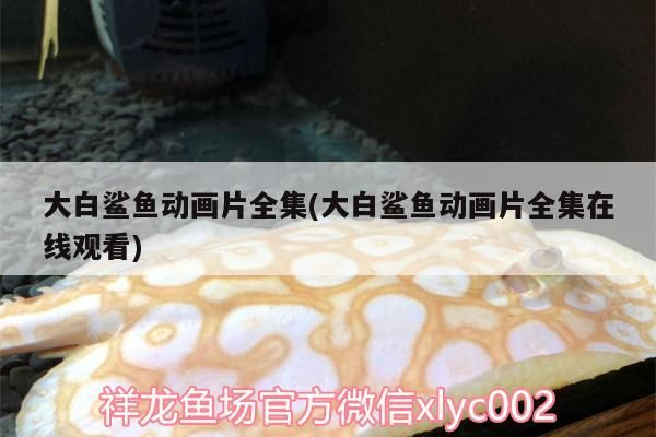 大白鯊魚動畫片全集(大白鯊魚動畫片全集在線觀看) 大白鯊魚動畫片全集(大白鯊魚動畫片全集在線觀看) 觀賞魚百科