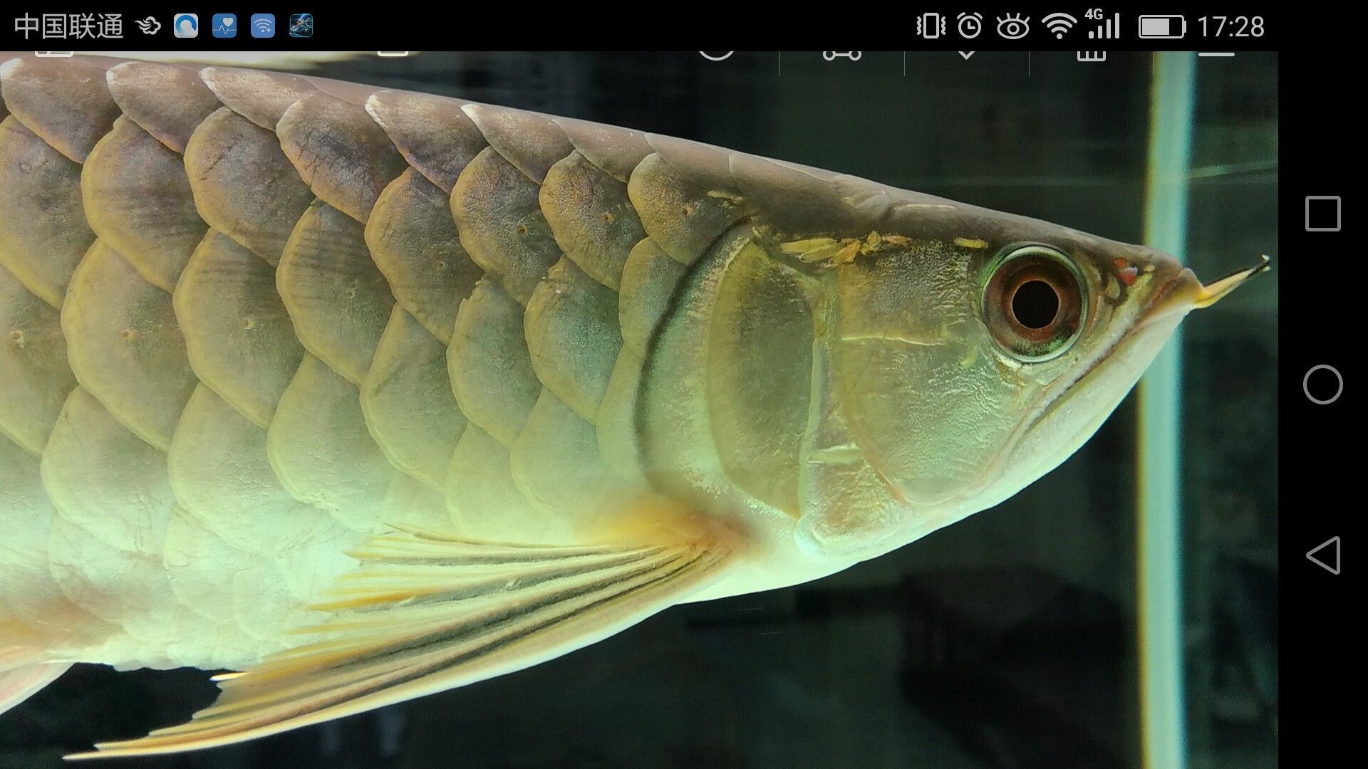 濟寧水族館家有小龍小龍鱗片光滑么