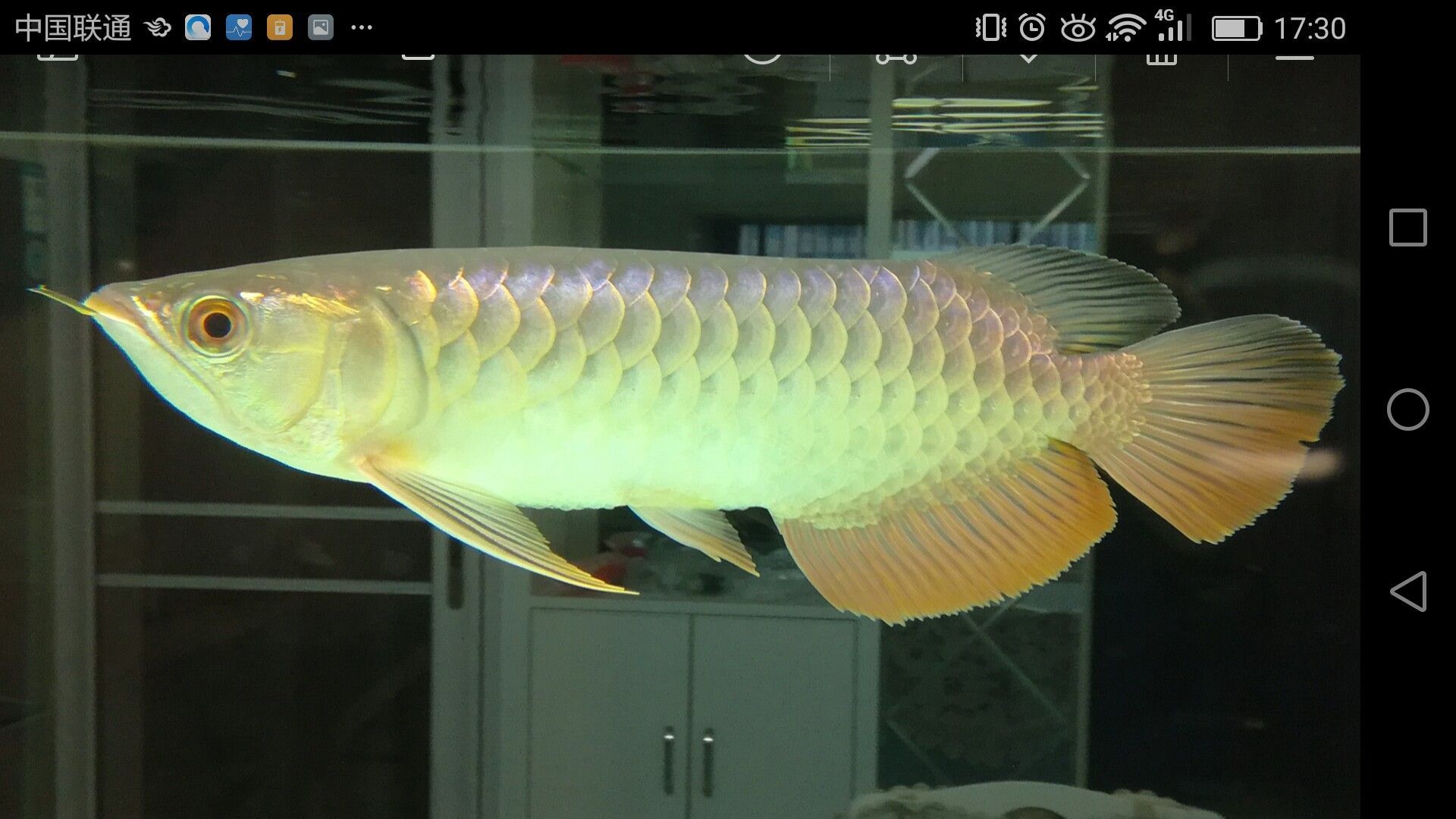 濟寧水族館家有小龍小龍鱗片光滑么