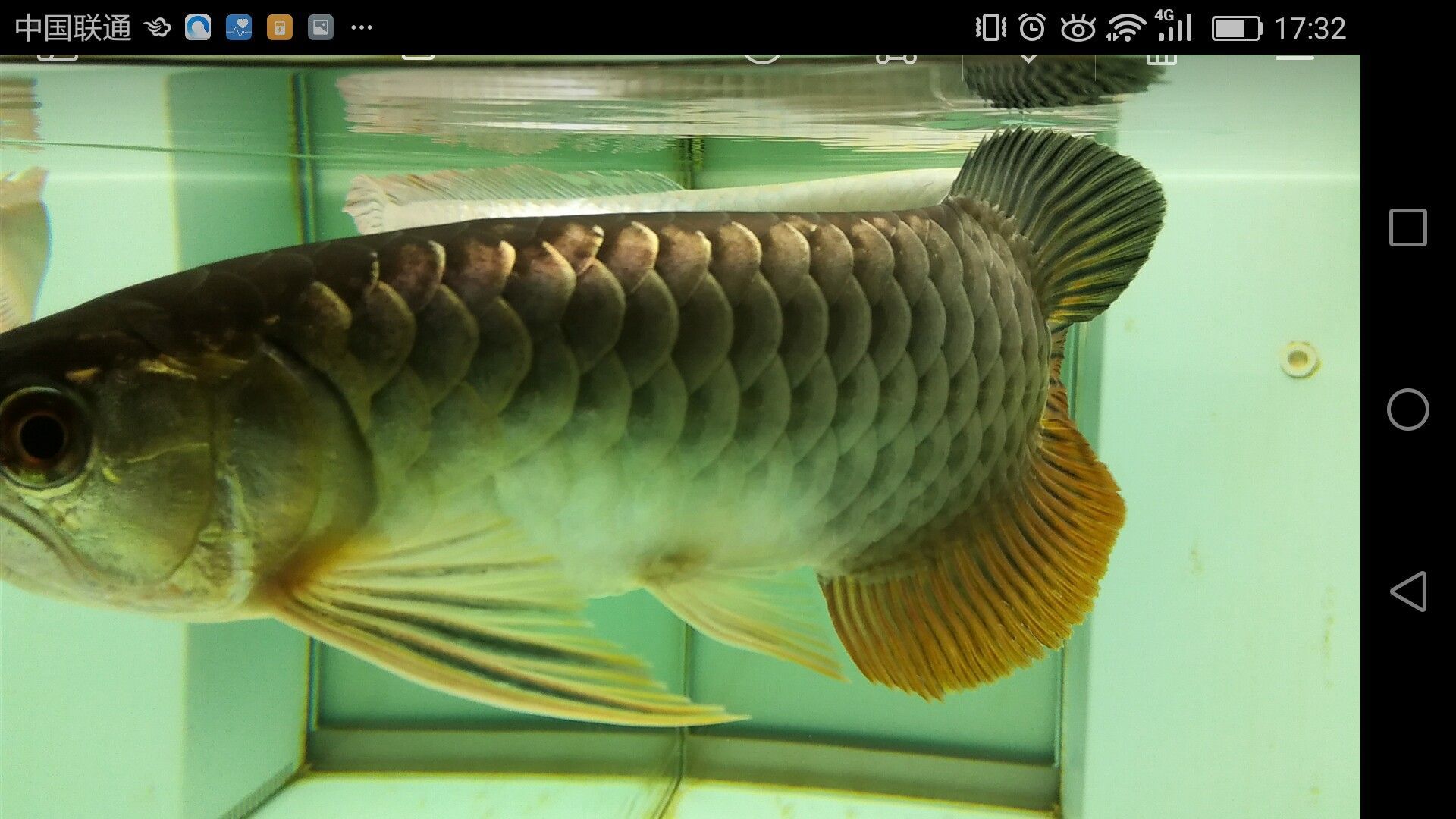 濟寧水族館家有小龍小龍鱗片光滑么