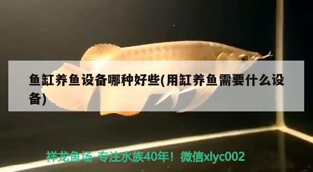 魚缸養魚設備哪種好些(用缸養魚需要什么設備)
