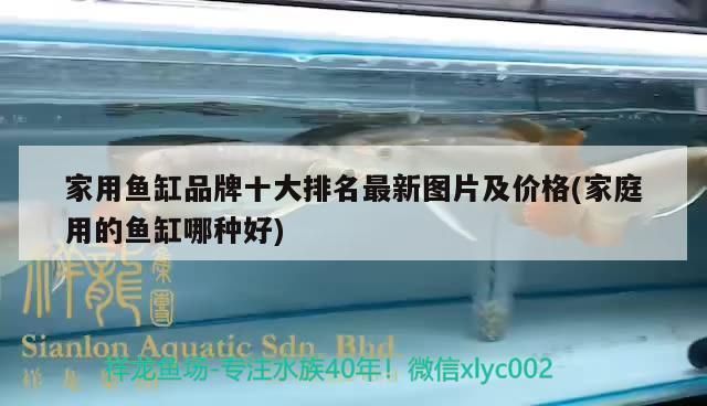 家用魚缸品牌十大排名最新圖片及價格(家庭用的魚缸哪種好)