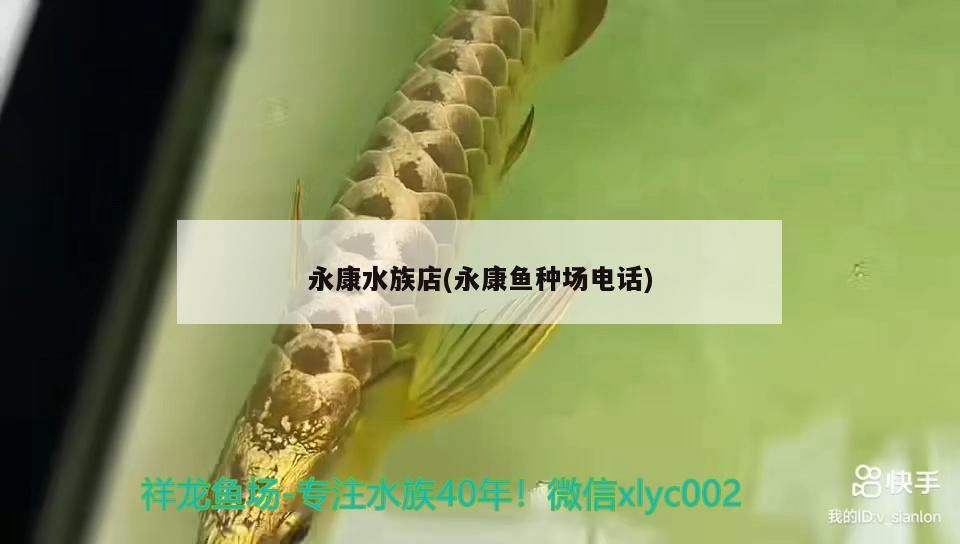 永康水族店(永康魚種場電話)