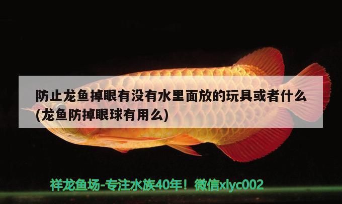 防止龍魚掉眼有沒有水里面放的玩具或者什么(龍魚防掉眼球有用么)