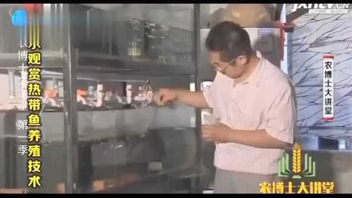 龍魚干蝦有營養(yǎng)嗎 魚缸能經(jīng)常搬動(dòng)嗎視頻(魚缸能經(jīng)常搬動(dòng)嗎視頻講解) 觀賞魚百科 魚缸能經(jīng)常搬動(dòng)嗎視頻(魚缸能經(jīng)常搬動(dòng)嗎視頻講解) 魚缸能經(jīng)常搬動(dòng)嗎視頻(魚缸能經(jīng)常搬動(dòng)嗎視頻講解) 觀賞魚百科