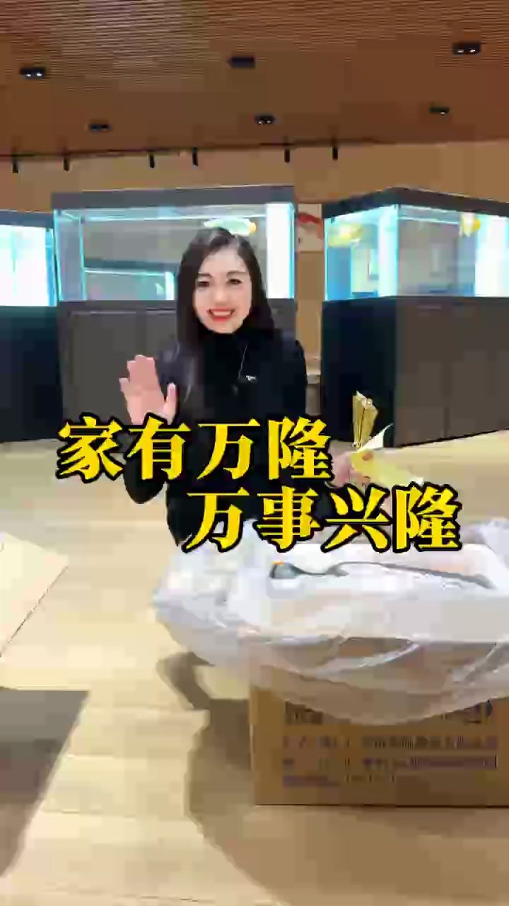 好魚不等人[嘿哈] 超冠F2庫存告急?? 春節前大佬們開始搶魚了[666] 家有萬隆、萬世興隆?? 祝老板們養好魚，行好運?? #萬隆天王紅龍 #紅龍 #龍魚 #觀賞魚 #養魚日記
