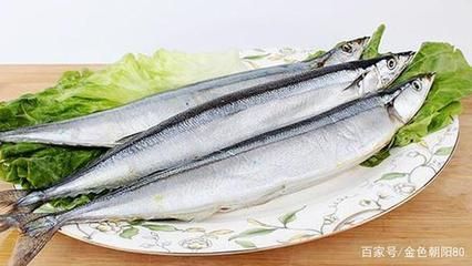 20厘米金龍魚（20厘米長的金龍魚的飼養方法）