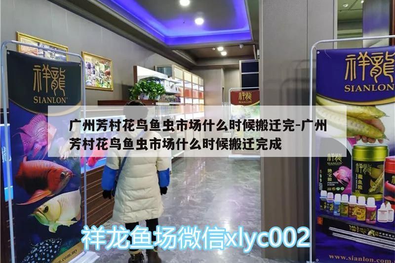 廣州芳村花鳥魚蟲市場什么時候搬遷完:廣州芳村花鳥魚蟲市場什么時候搬遷完成