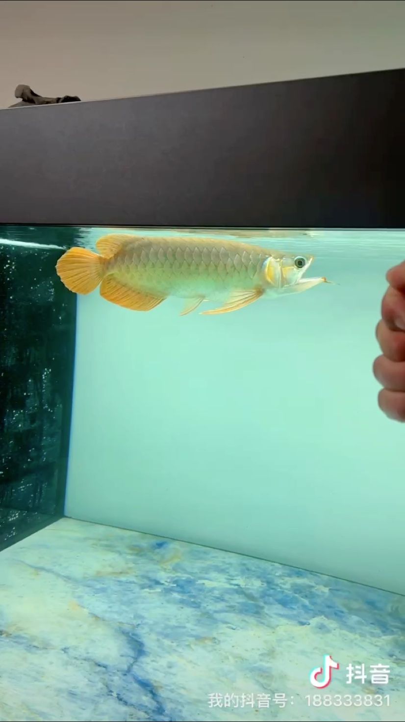 各種挑逗