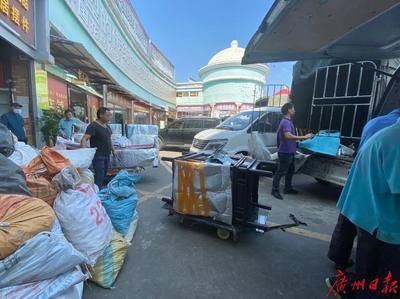 芳村花鳥市場在哪里有接送的：廣州花卉博覽園探秘芳村花鳥市場 芳村花鳥市場在哪里有接送的：廣州花卉博覽園探秘芳村花鳥市場 觀賞魚百科 第3張