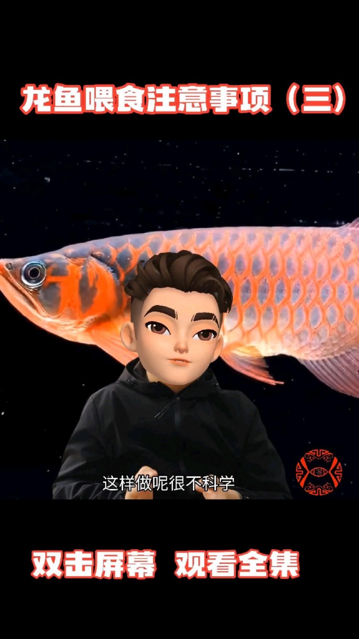 三元龍魚為何要少吃 三元龍魚為何要少吃 觀賞魚百科 第1張