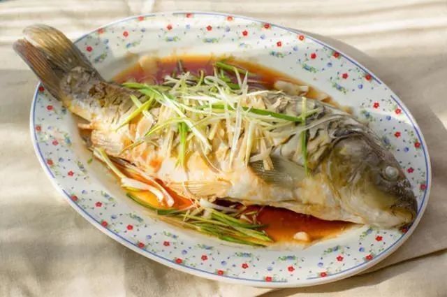 三元龍魚為何要少吃 三元龍魚為何要少吃 觀賞魚百科 第6張