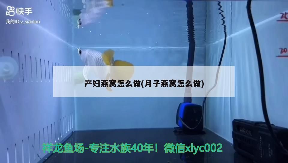 恩施土家族苗族自治州哪里有水族館(恩施土家族苗族博物館)